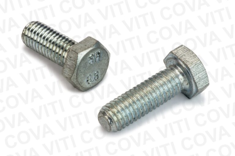 Viti metriche testa esagonale