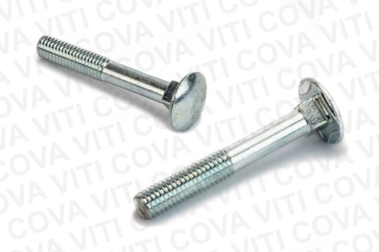 Viti testa tonda con quadro (TTCQ)